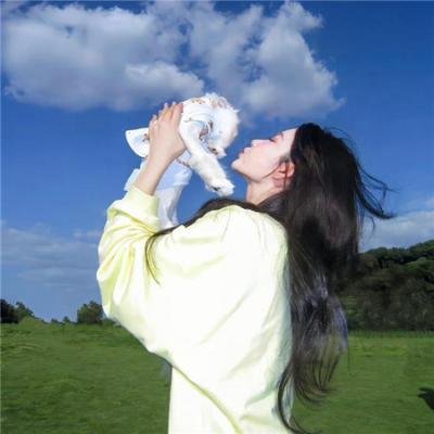 神台猫